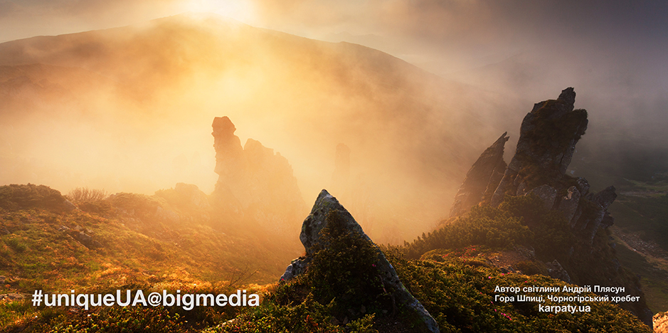 Андрій Плясун